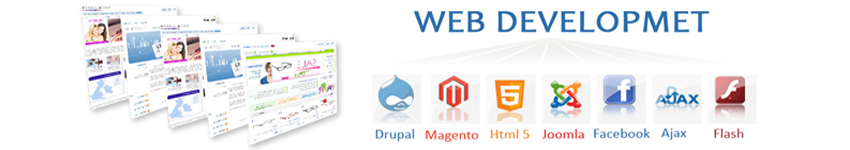 website designing company in usa